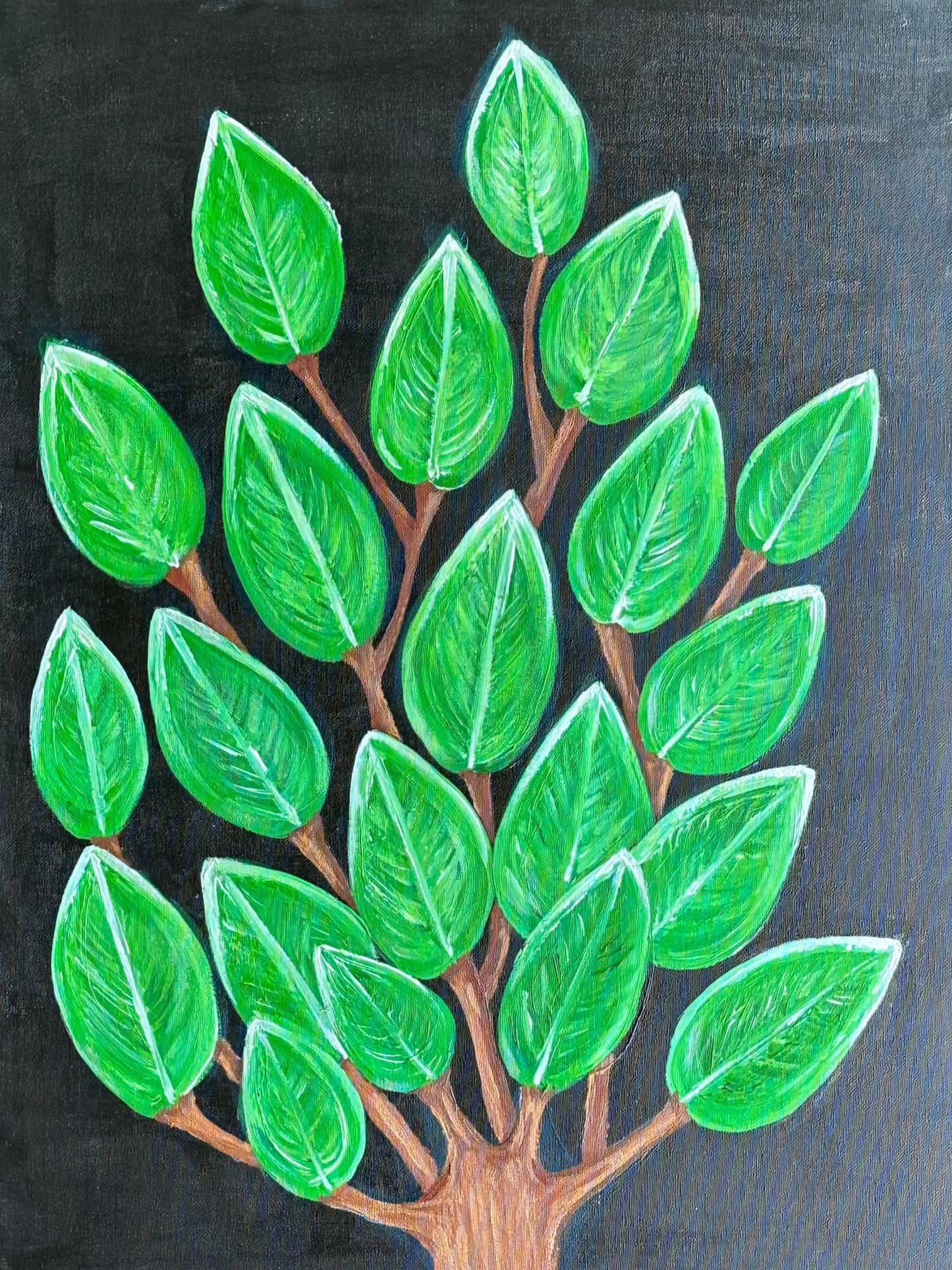 Amazon Tree